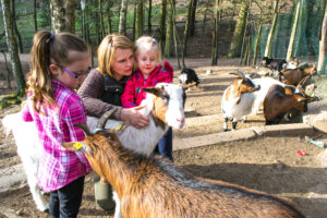 Ziegenkuscheln in der Wildpark-Akademie Wildpark Saarbrücken