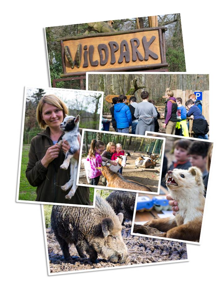 Collage Wildpark-Akademie