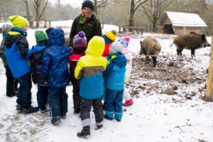Kindergeburtstag Wildschweine füttern Saarbrücken