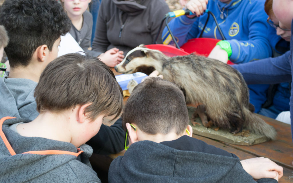 Kindergeburtstag Wildpark Saarbrücken