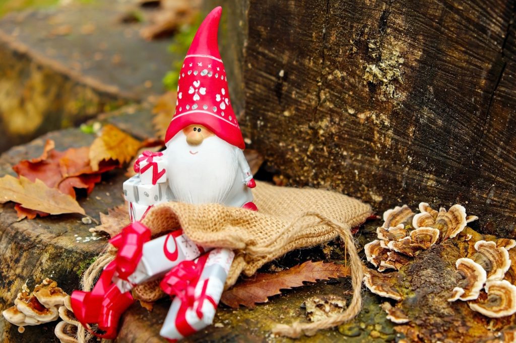 Nikolaus Abendwanderung Im Wildpark Saarbrucken