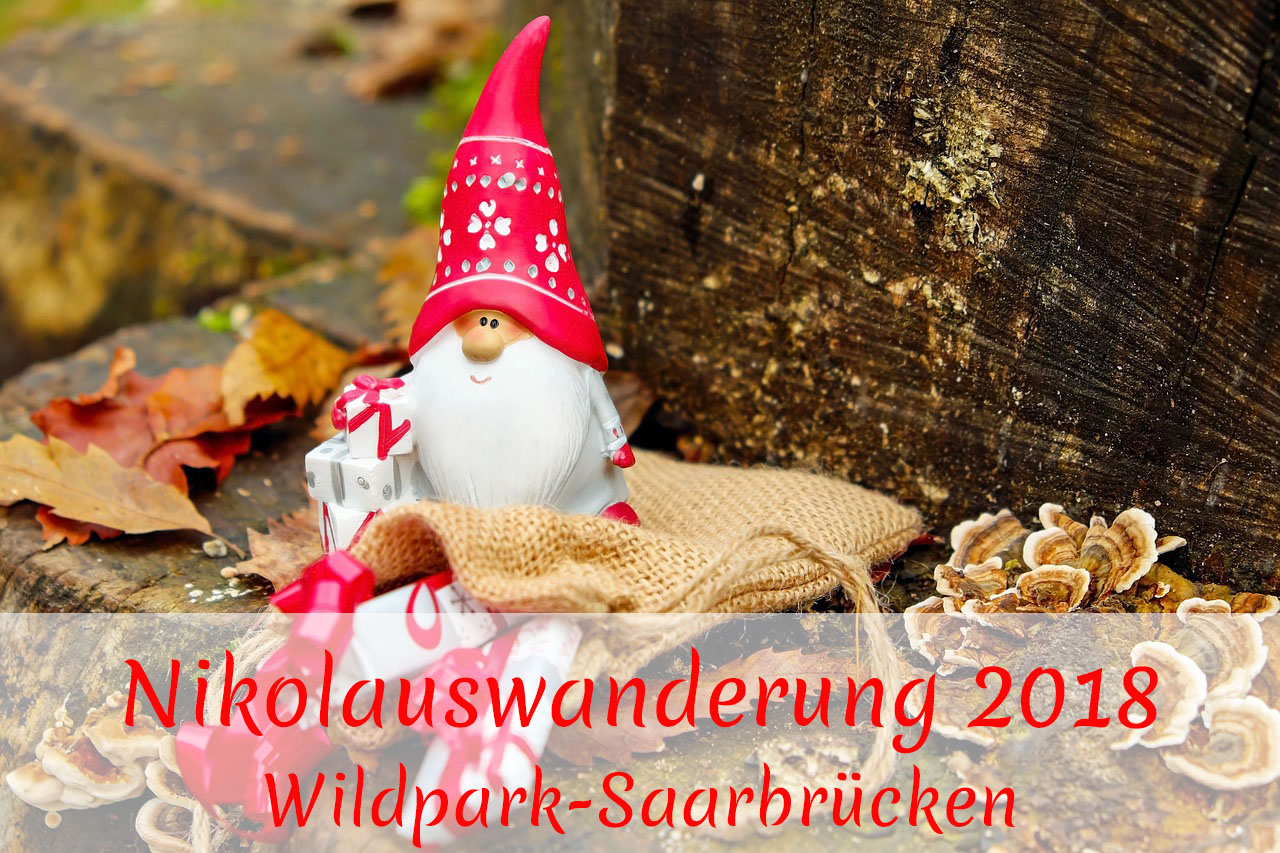 Nikolauswanderung WIldpark Saarbrücken